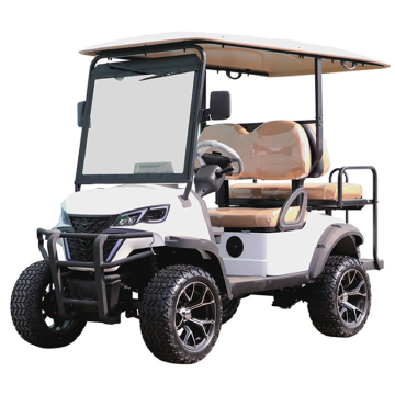 EG Wholesale Supplier: Custom Electric Golf Carts with Lithium Batteries