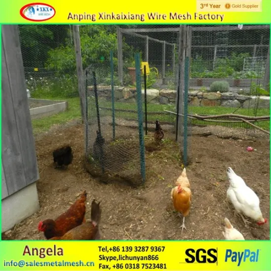 alibaba china price of chicken layer cage , chicken wire mesh manufacturing company