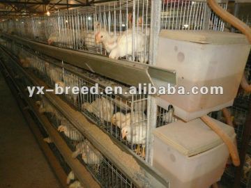 Brood rearing cages