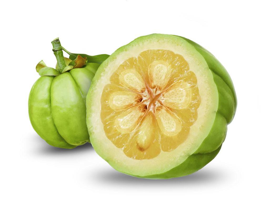 pure-garcinia-cambogia.jpg