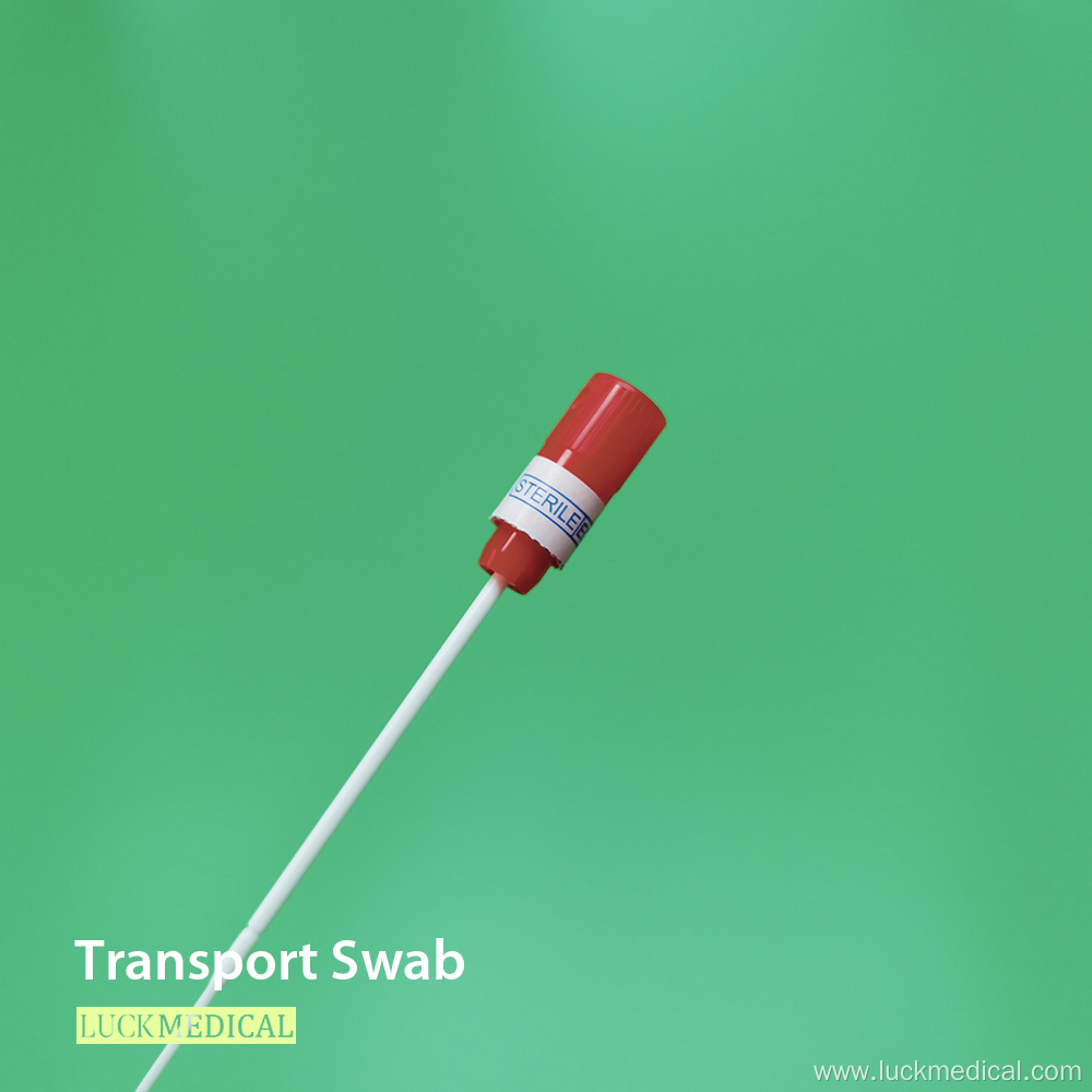 Sterilized Sampling Transport Swabs Flocking Nasal Swab FDA