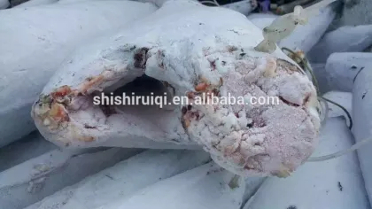 frozen stripe marlin frozen fish red marlin To Sri Lanka