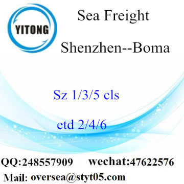 Shenzhen Port LCL Consolidation To Boma