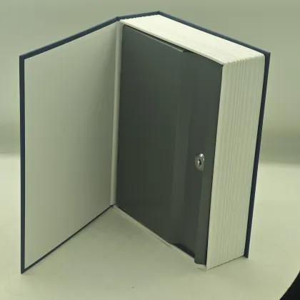 Large Capacity Dictionary Safe Box