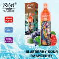 Kit de vaina desechable R&amp;M Paradise 10000 Puffs