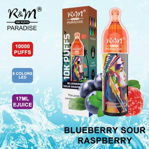 Disposable Pod Kit R&M PARADISE 10000 Puffs