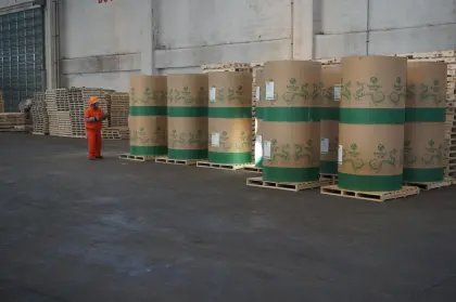 WHITE ROLL OFFSET PAPER