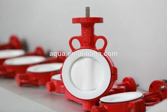 PTFE LINER BUTTERFLY VALVE