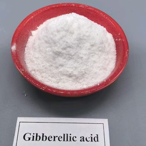 สารกระตุ้นทางชีวภาพจิบเบอเรลลิน A4+A7 90%TC