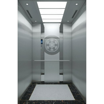 Fuji Dependable Quality Home Residential Elevator with Factory Prices