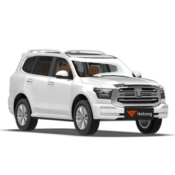 2023 Hot Belling Great Wall 3.0t Hybrid Sports Version 5 مقاعد مركبة طاقة جديدة