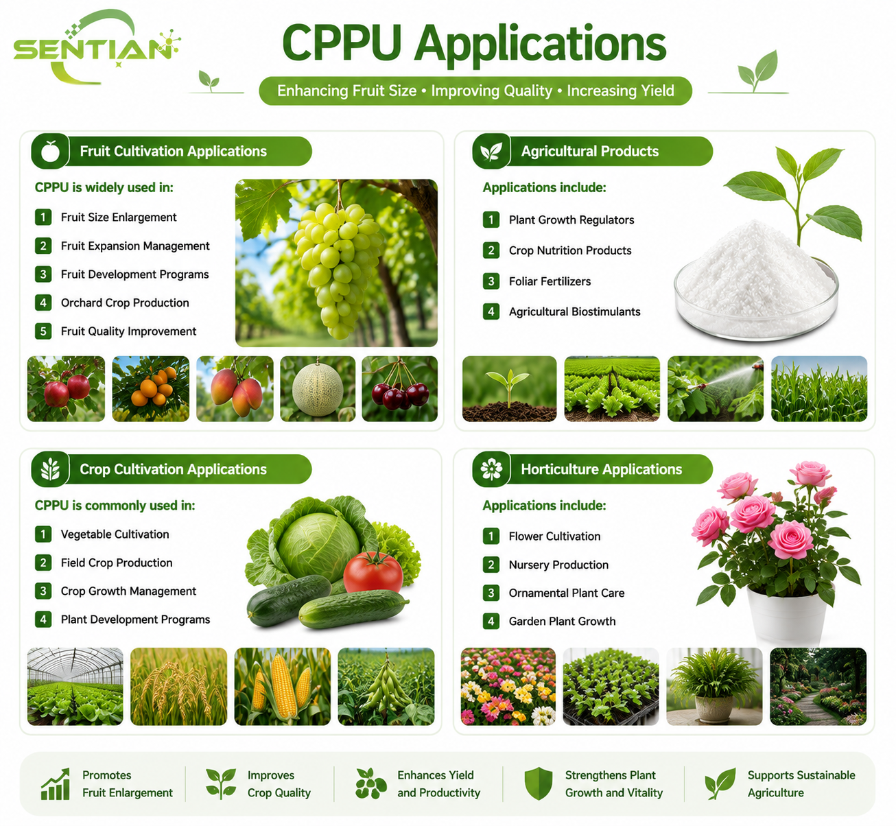 CPPU（2）