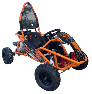 2024 Off Road Buggy 500W 48V 20AH Cheap Sale