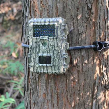 PIR Motion Sensing Wildlife Photography Camera​