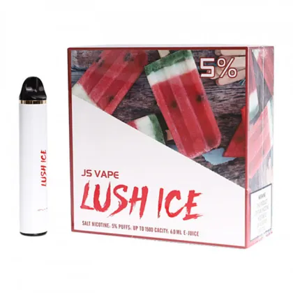 Js Vape Wholesale Disposable Electronic Cigarette
