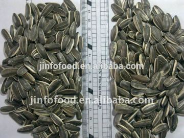 5009 type sunflower seeds