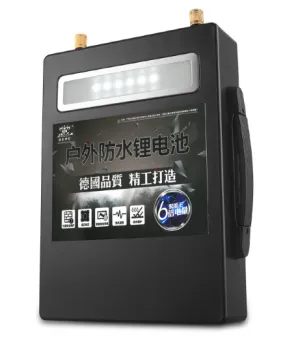 100 Amp Hour 12v Battery Pack (PPS21X30)