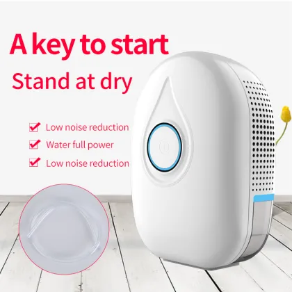 Smart Home Dehumidifier for a Mold-Free, Dry Environment