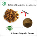 Rhizoma Corydalis Extract 98% Tetrahydropalmatine