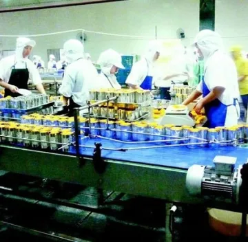 Peach/cucumber canned production line