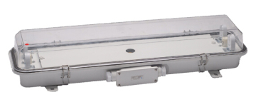 MARINE W.T. FLUORESCENT LIGHT IMPA791910