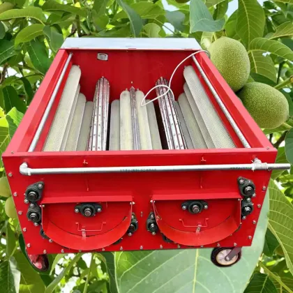 Electric Walnut Peeling Machine: Large Green Walnut Processing Equipment
