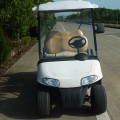 Wholsale personalizar 4 asientos de carrito de golf popular