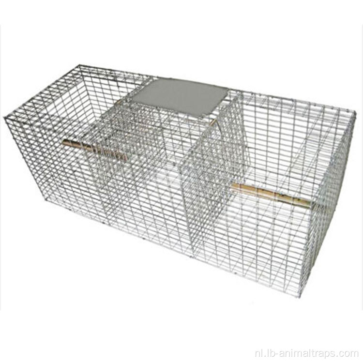 Certificering roestvrijstalen vogelspike