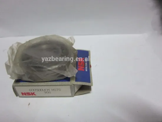 6005 ZZE Japan Nachi bearings