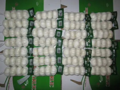 Cold Storage Pure White Garlic