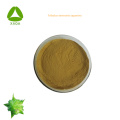 Organic Vegan Tribulus Terrestris Extract Saponin Powder