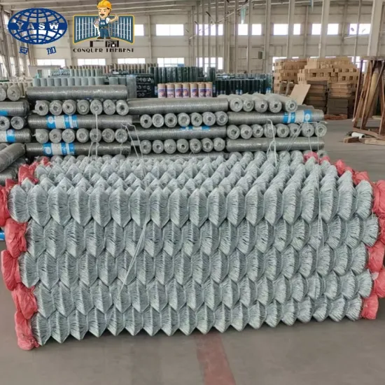 Plastic Rhomboidal Wire Mesh for Fence