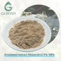 Extracto de Knotweed Fuente natural Resveratrol Nutricional