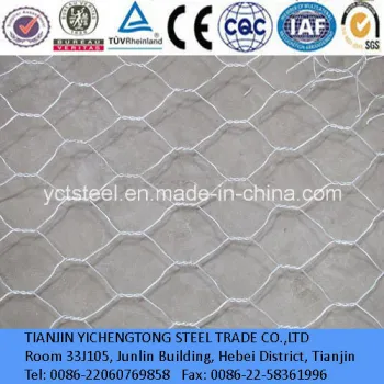 White Hexagonal Wire Mesh for Window Protecting