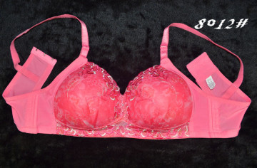 Chinese Bra Manufacture Cheap Bra Super Sexy Fashion