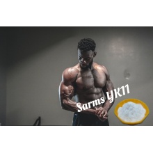 Buy Sarrms Yk11 Raw Powder Body building