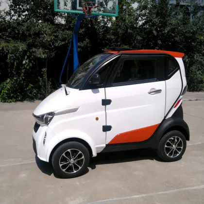 Sightseeing Electric Vehicles Without Driving License