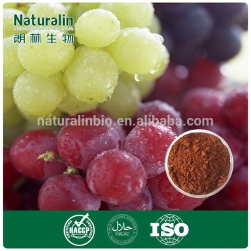 Natural antiaging Grape Seed Extract 95% OPC (high orac value),grape seed extract softgel capsule