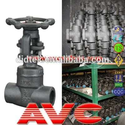 AVC Forged Steel A105 Gate Valve