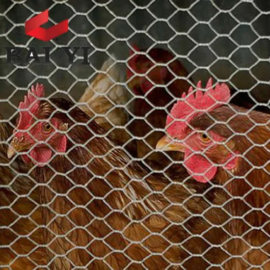 Hexagonal Chicken Wire Mesh ( manufacturer )