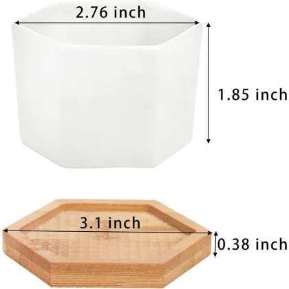 Modern White Ceramic Flower Pot with Bamboo Tray for Succulents