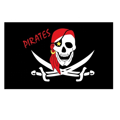 factory price Polyester outdoor custom fabric pirate flag