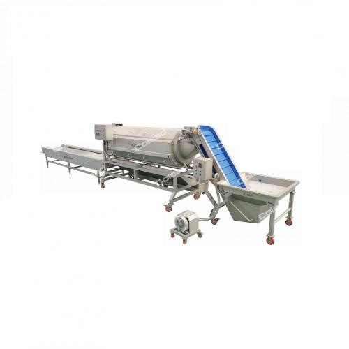 Root vegetable cleaning line for food processing