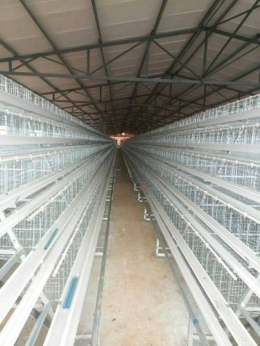 A-type 96-200 Chicken Egg Chicken Cage