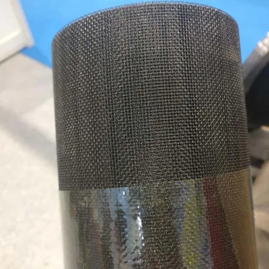 Epoxy Coated Black Wire Mesh