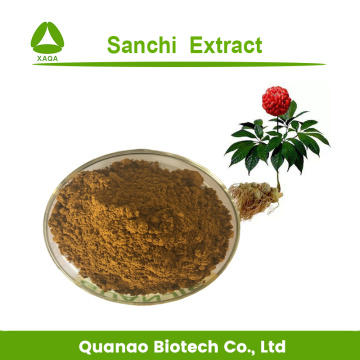 Sanchi Extract Tienchi Ginseng Powder Panax Notoginseng