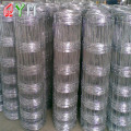 Farm Fence Wire Mesh Galvanizzato Panna di recinzione del bestiame