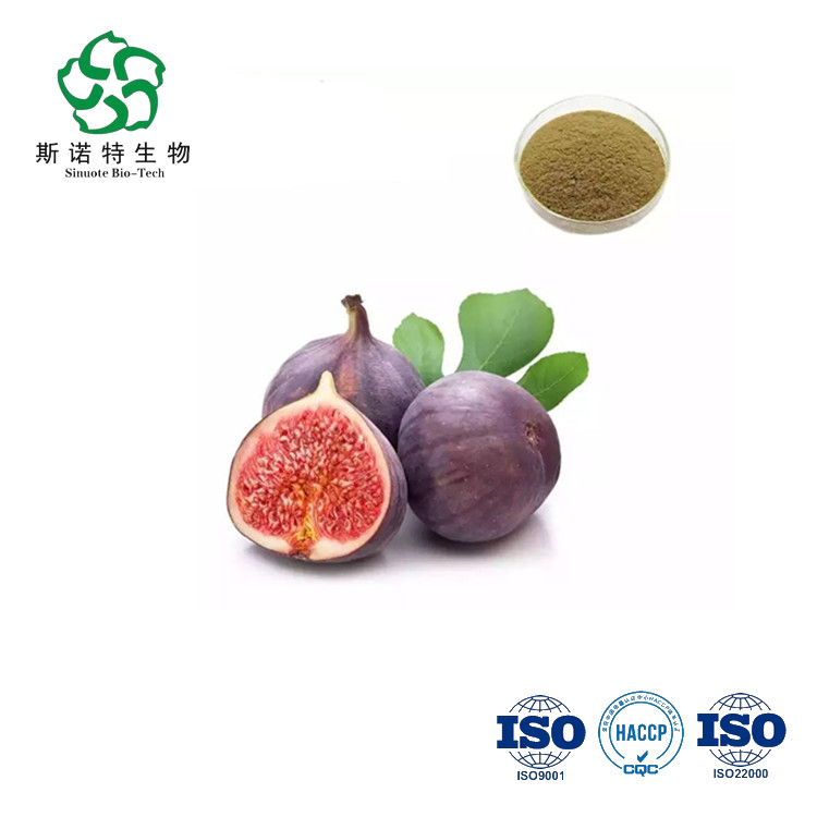 Gmp Kosher Natural Fig Powder Ficus Carica Powder