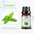 factory peppermint essential oil 100% pure organic oil