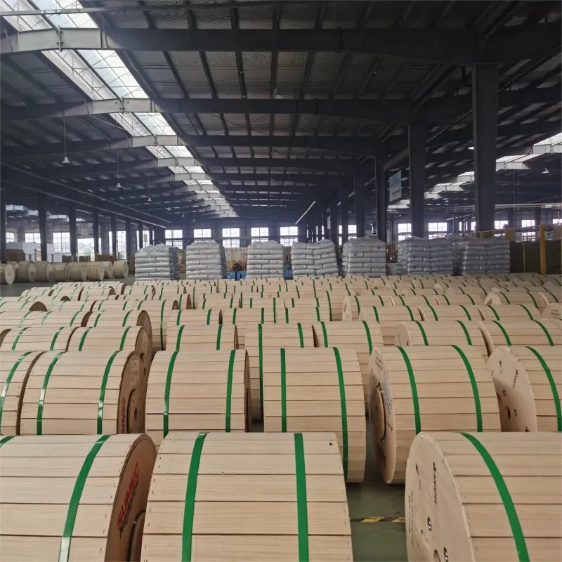Affordable Single Mode Fiber Optic Cable Prices